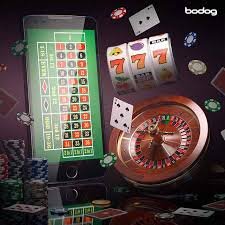 pkall Cricket Livebets